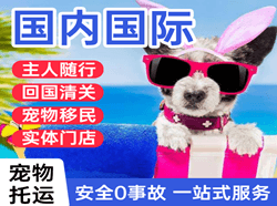 白云航空快运国际宠物托运 【国